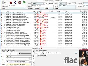 Click image for larger version

Name:	Ripping errors.jpg
Views:	545
Size:	105.4 KB
ID:	293983