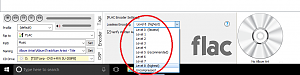 Click image for larger version

Name:	flac.png
Views:	960
Size:	64.7 KB
ID:	297193