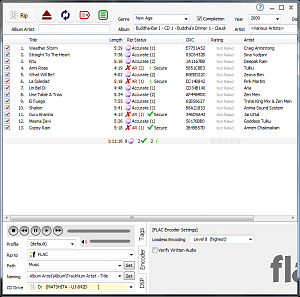 Click image for larger version

Name:	dbPoweramp CD Ripper Screenshot.png
Views:	410
Size:	96.0 KB
ID:	297281
