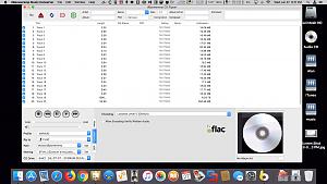 Click image for larger version

Name:	Mac Disc 2 Screen Shot 2018-06-27 at 9.17.57 PM.jpg
Views:	266
Size:	94.3 KB
ID:	297309